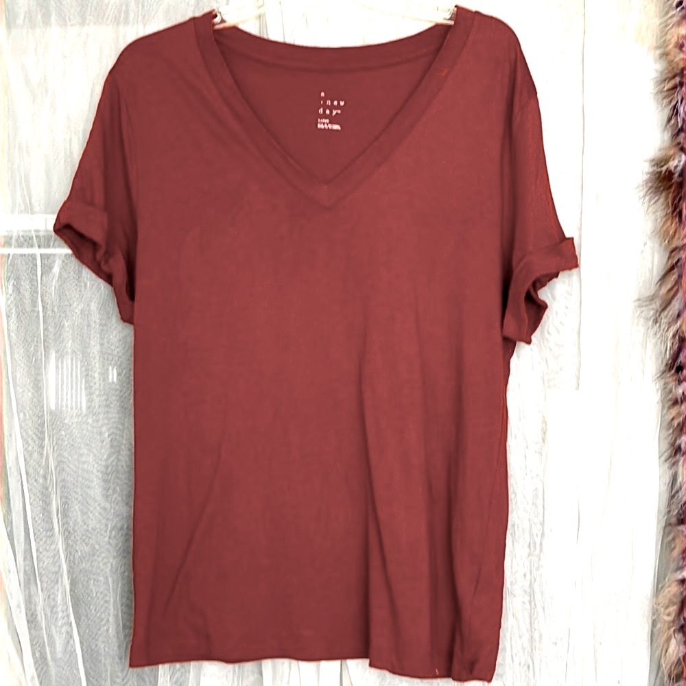 🌞 A new day rust colored v-neck loose fitted short sleeve tee women size L